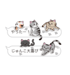 【じゅんこ】猫だらけの吹き出し（個別スタンプ：18）