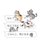 【じゅんこ】猫だらけの吹き出し（個別スタンプ：19）