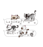 【しょうこ】猫だらけの吹き出し（個別スタンプ：11）