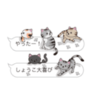 【しょうこ】猫だらけの吹き出し（個別スタンプ：18）