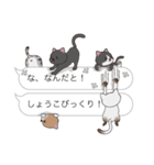 【しょうこ】猫だらけの吹き出し（個別スタンプ：20）