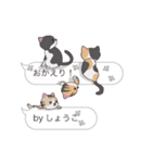 【しょうこ】猫だらけの吹き出し（個別スタンプ：22）