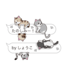 【しょうこ】猫だらけの吹き出し（個別スタンプ：26）