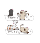 【しょうこ】猫だらけの吹き出し（個別スタンプ：29）