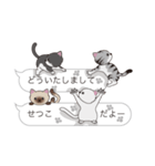 【せつこ】猫だらけの吹き出し（個別スタンプ：6）