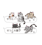 【せつこ】猫だらけの吹き出し（個別スタンプ：18）