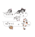 【せつこ】猫だらけの吹き出し（個別スタンプ：23）