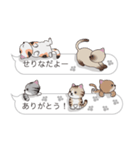 【せりな】猫だらけの吹き出し（個別スタンプ：5）