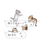 【そら】猫だらけの吹き出し（個別スタンプ：15）