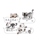 【たえこ】猫だらけの吹き出し（個別スタンプ：11）