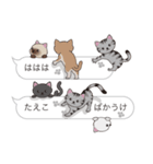 【たえこ】猫だらけの吹き出し（個別スタンプ：38）