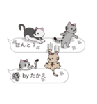 【たかえ】猫だらけの吹き出し（個別スタンプ：27）