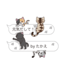 【たかえ】猫だらけの吹き出し（個別スタンプ：32）