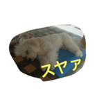 蘭たん（個別スタンプ：3）