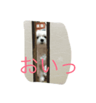 蘭たん（個別スタンプ：7）