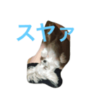 蘭たん（個別スタンプ：8）