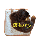 キャビアスタンプ（個別スタンプ：1）