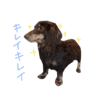 キャビアスタンプ（個別スタンプ：30）
