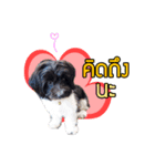 Hong Thong（個別スタンプ：3）