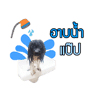 Hong Thong（個別スタンプ：4）