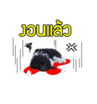 Hong Thong（個別スタンプ：5）
