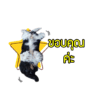 Hong Thong（個別スタンプ：6）