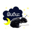 Hong Thong（個別スタンプ：8）