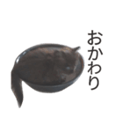 飯塚さんちのもずく改（個別スタンプ：18）