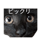 飯塚さんちのもずく改（個別スタンプ：22）