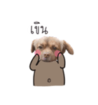 Chocolate is a funny dog v.2（個別スタンプ：4）