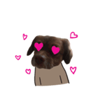 Chocolate is a funny dog v.2（個別スタンプ：5）