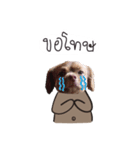 Chocolate is a funny dog v.2（個別スタンプ：7）