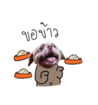 Chocolate is a funny dog v.2（個別スタンプ：8）