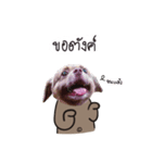 Chocolate is a funny dog v.2（個別スタンプ：10）