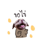 Chocolate is a funny dog v.2（個別スタンプ：12）