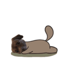 Chocolate is a funny dog v.2（個別スタンプ：15）