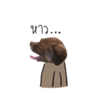 Chocolate is a funny dog v.2（個別スタンプ：16）