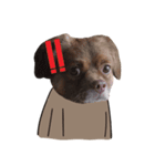 Chocolate is a funny dog v.2（個別スタンプ：18）