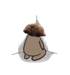 Chocolate is a funny dog v.2（個別スタンプ：19）