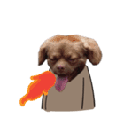 Chocolate is a funny dog v.2（個別スタンプ：21）