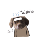 Chocolate is a funny dog v.2（個別スタンプ：23）
