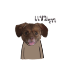 Chocolate is a funny dog v.2（個別スタンプ：24）