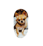 chiwawa noa 2（個別スタンプ：8）