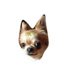 chiwawa noa 2（個別スタンプ：9）