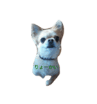 chiwawa noa 2（個別スタンプ：13）