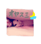 カンナヒカル2（個別スタンプ：3）