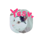 カンナヒカル2（個別スタンプ：9）