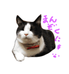 fu ＆ an . 2（個別スタンプ：2）