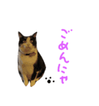 fu ＆ an . 2（個別スタンプ：11）
