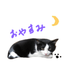 fu ＆ an . 2（個別スタンプ：14）